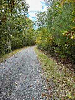 4 LAUREL HOLLOW RD, VESUVIUS, VA 24483, photo 3 of 19