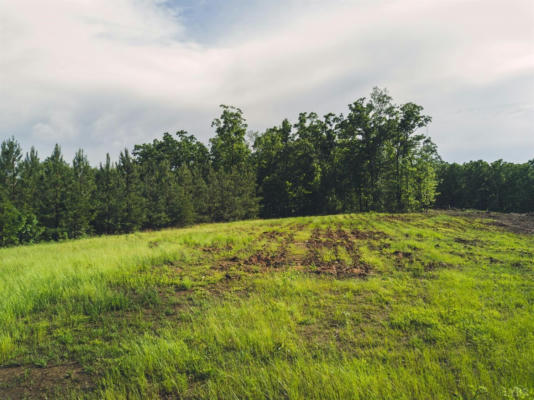 0 TERRAPIN CREEK RD, HUDDLESTON, VA 24104, photo 3 of 12