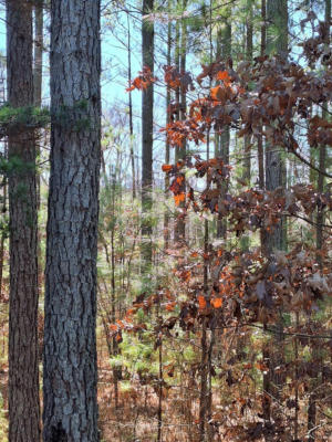 0 WILDERNESS CREEK ROAD, MONROE, VA 24574, photo 5 of 9