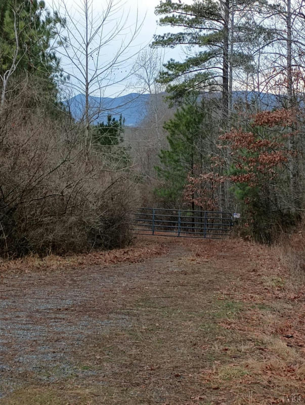 0 WILDERNESS CREEK ROAD, MONROE, VA 24574, photo 1 of 9