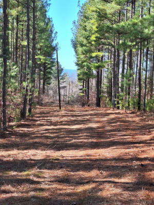 0 WILDERNESS CREEK ROAD, MONROE, VA 24574, photo 2 of 9